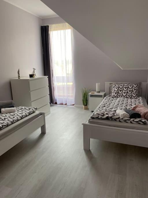 Zalacsány Star Apartman מראה חיצוני תמונה